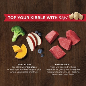 NATURES VARIETY FREEZE DRIED RAW BOOST MIXER BEEF DOG 170G
