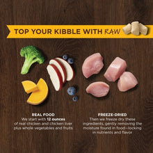Load image into Gallery viewer, NATURES VARIETY FREEZE DRIED RAW BOOST MIXER CHIC DOG 396G
