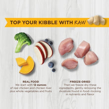 Load image into Gallery viewer, NATURES VARIETY FREEZE DRIED RAW BOOST MIXER CHIC CAT 170G
