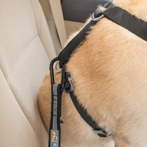 KURGO DIRECT TO SEATBELT TETHER