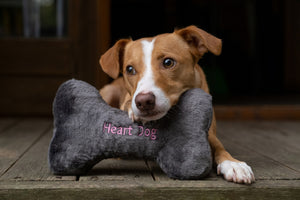FLUFF & TUFF HEART DOG BONE 10"