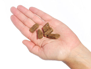 PLATO SMALL BITES GRAIN FREE DUCK 6OZ