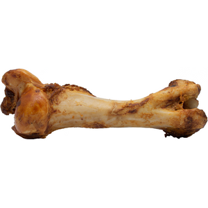 ASADO DINO BONE