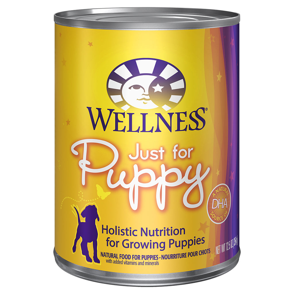 WELLNESS PUPPY CAN 354G