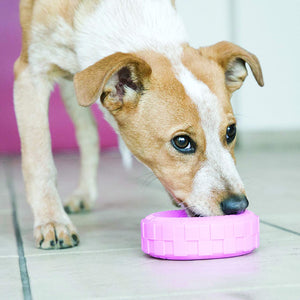 KONG PUPPY TIRES PINK/BLUE SM