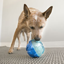 Load image into Gallery viewer, KONG REWARDS BALL BLUE LG
