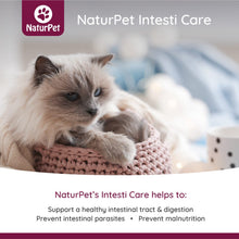 Load image into Gallery viewer, NATURPET INTESTI CARE POWDER 165G

