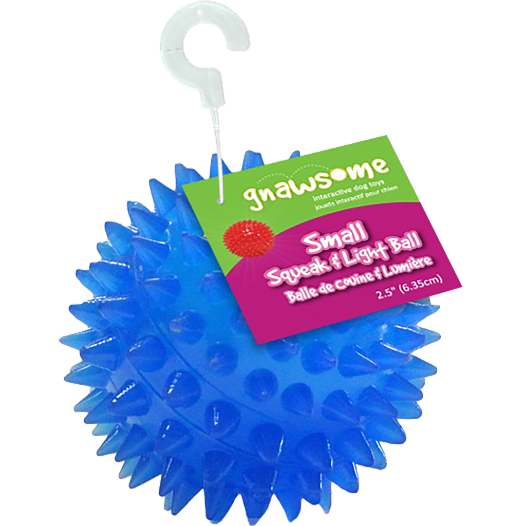GNAWSOME SQUEAK/LIGHT BALL 2.5