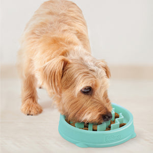 OUTWARD HOUND FUN FEEDER SLO-BOWL MINT TINY