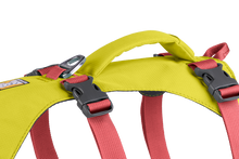 Load image into Gallery viewer, RUFFWEAR FLAGLINE HARNESS LG/XLG
