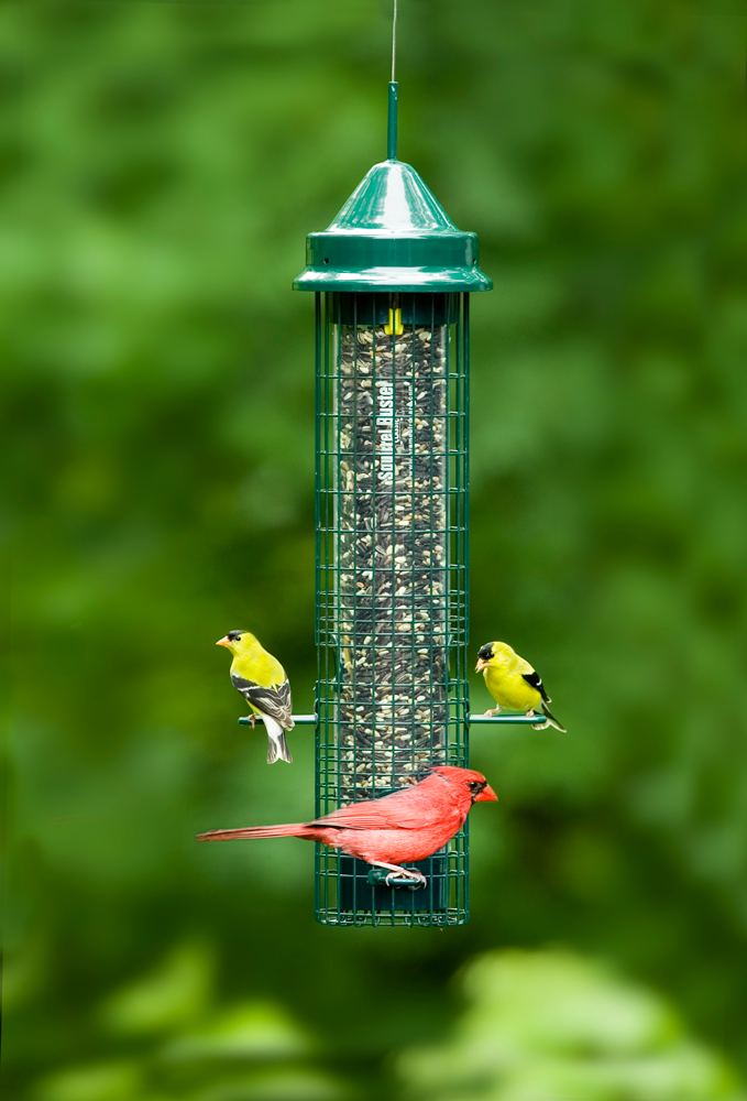 SQUIRREL BUSTER CLASSIC BIRD FEEDER