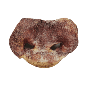 VITAL ESSENTIALS RAW BAR FREEZE-DRIED PIG SNOUTS