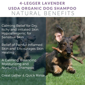 4LEGGER CALM LAVENDER SHAMPOO 8OZ