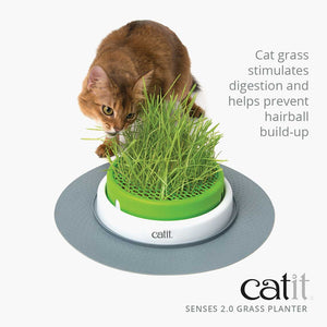 HAGEN CATIT SENSES 2.0 GRASS PLANTER