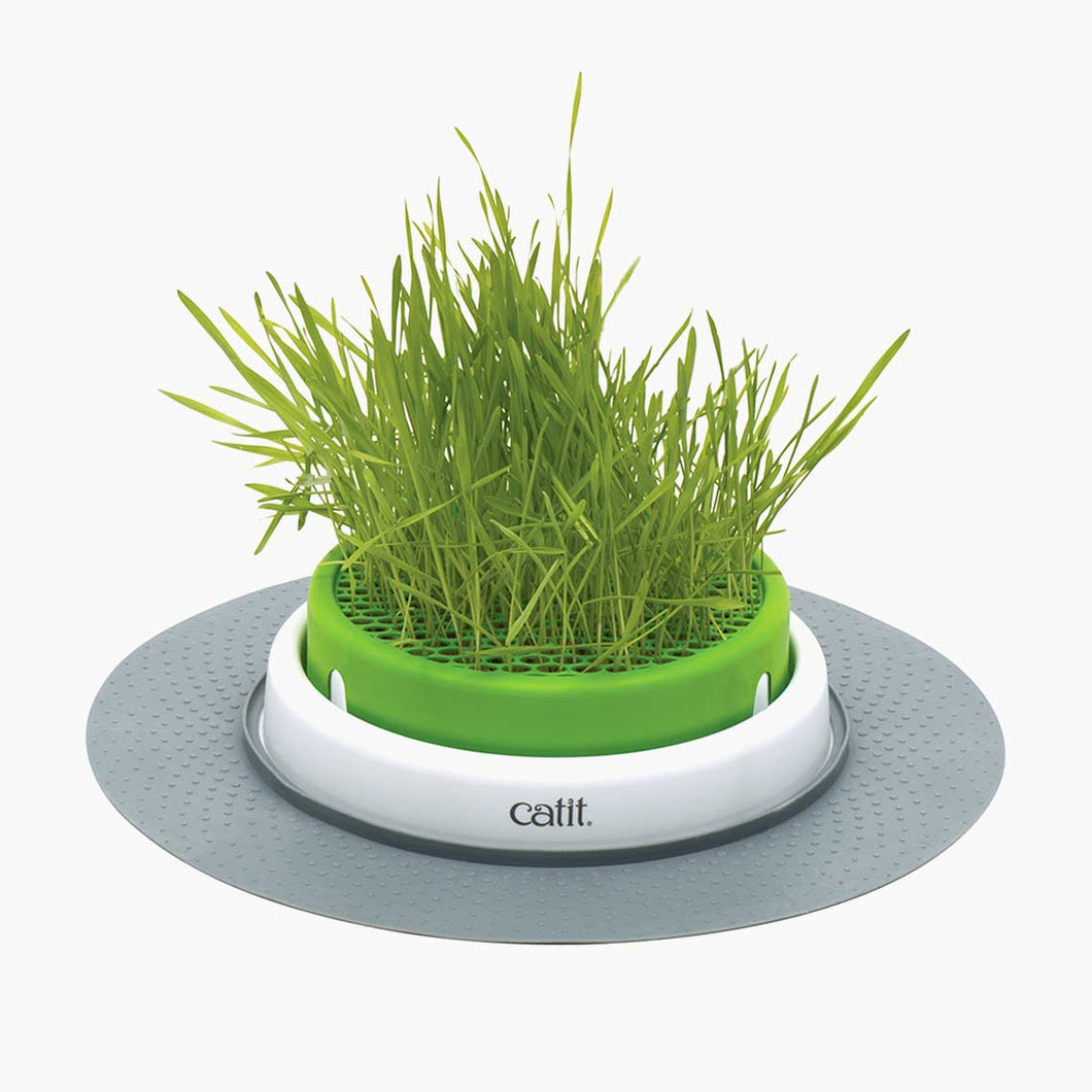 HAGEN CATIT SENSES 2.0 GRASS PLANTER