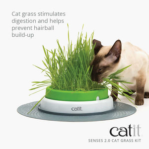 HAGEN CATIT SENSES 2.0 GRASS KIT CAT 3PK