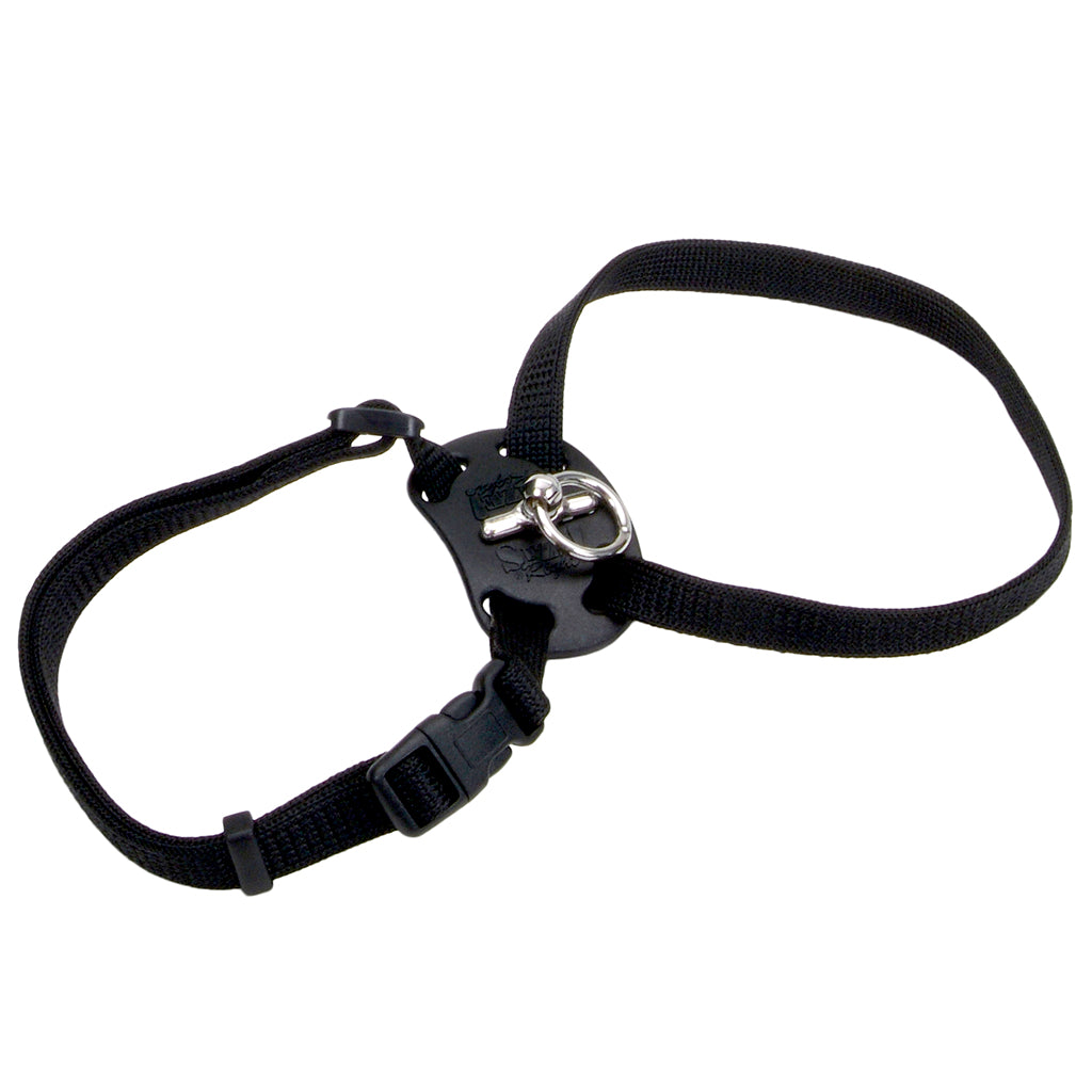 COASTAL SIZE RIGHT HARNESS BLACK 18X3/8