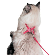 Load image into Gallery viewer, COASTAL SIZE RIGHT HARNESS BLACK 18X3/8&quot;
