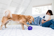 Load image into Gallery viewer, OUTWARD HOUND ORBEE TUFF LIL SNOOP PURPLE
