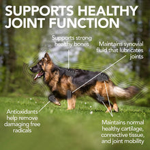 Load image into Gallery viewer, VET&#39;S BEST LEVEL 3 ADVANCED HIP + JOINT 90TAB
