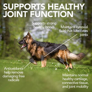 VET'S BEST LEVEL 3 ADVANCED HIP + JOINT 90TAB