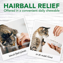 Load image into Gallery viewer, VET&#39;S BEST HAIRBALL RELIEF 60TAB
