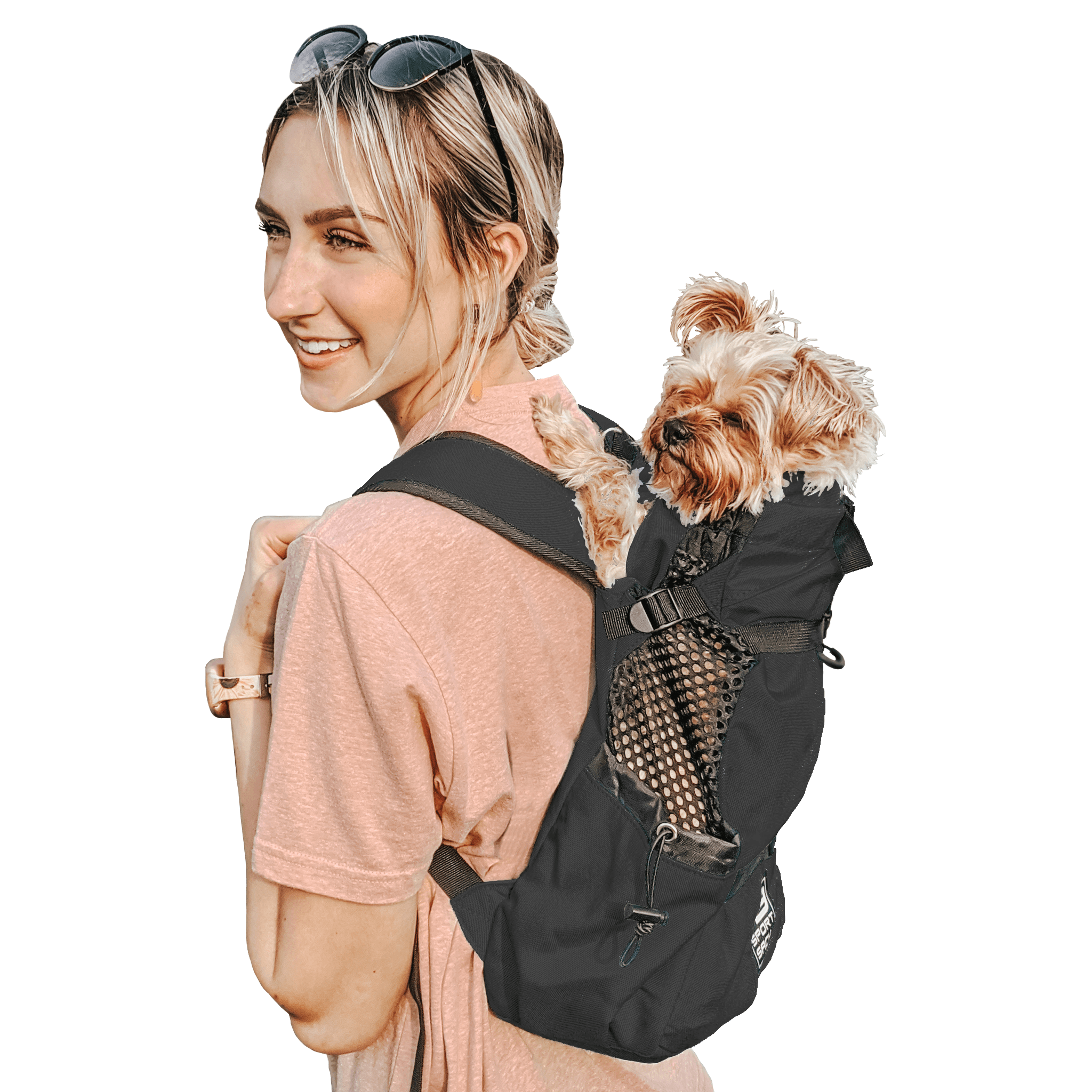 K9 sport sack french bulldog cheap
