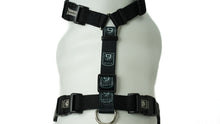Load image into Gallery viewer, BLUE9 BALANCE HARNESS BUCKLE NECK BLACK MEDIUM/LARGE
