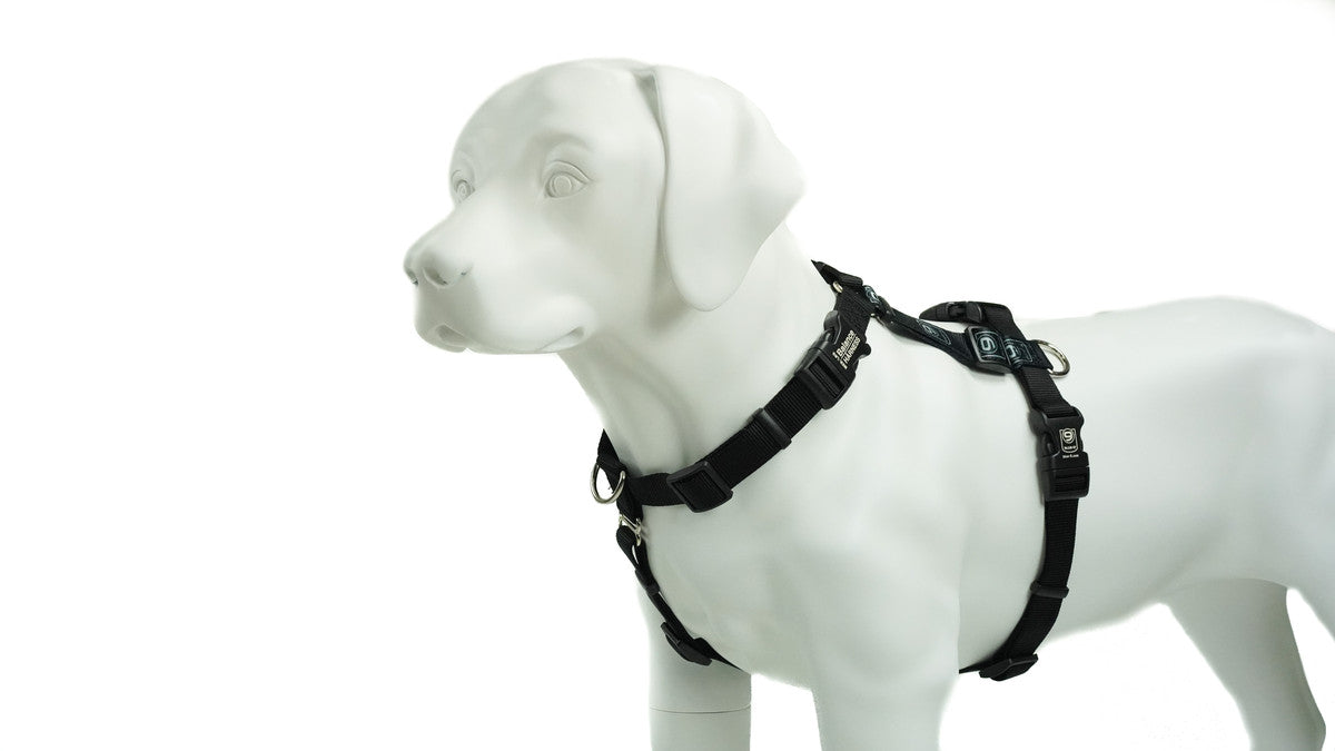 Blue nine harness shop