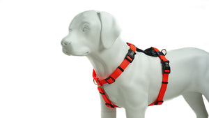BLUE9 BALANCE HARNESS BUCKLE NECK ORANGE MEDIUM/LARGE