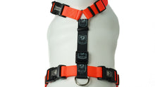 Load image into Gallery viewer, BLUE9 BALANCE HARNESS BUCKLE NECK ORANGE XSMALL
