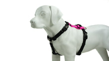 Load image into Gallery viewer, BLUE9 BALANCE HARNESS BUCKLE NECK PINK MEDIUM
