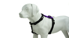 Load image into Gallery viewer, BLUE9 BALANCE HARNESS BUCKLE NECK PURPLE MEDIUM/LARGE
