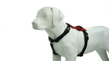 Load image into Gallery viewer, BLUE9 BALANCE HARNESS BUCKLE NECK RED MEDIUM/LARGE
