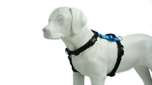 Load image into Gallery viewer, BLUE9 BALANCE HARNESS BUCKLE NECK SKY BLUE LARGE
