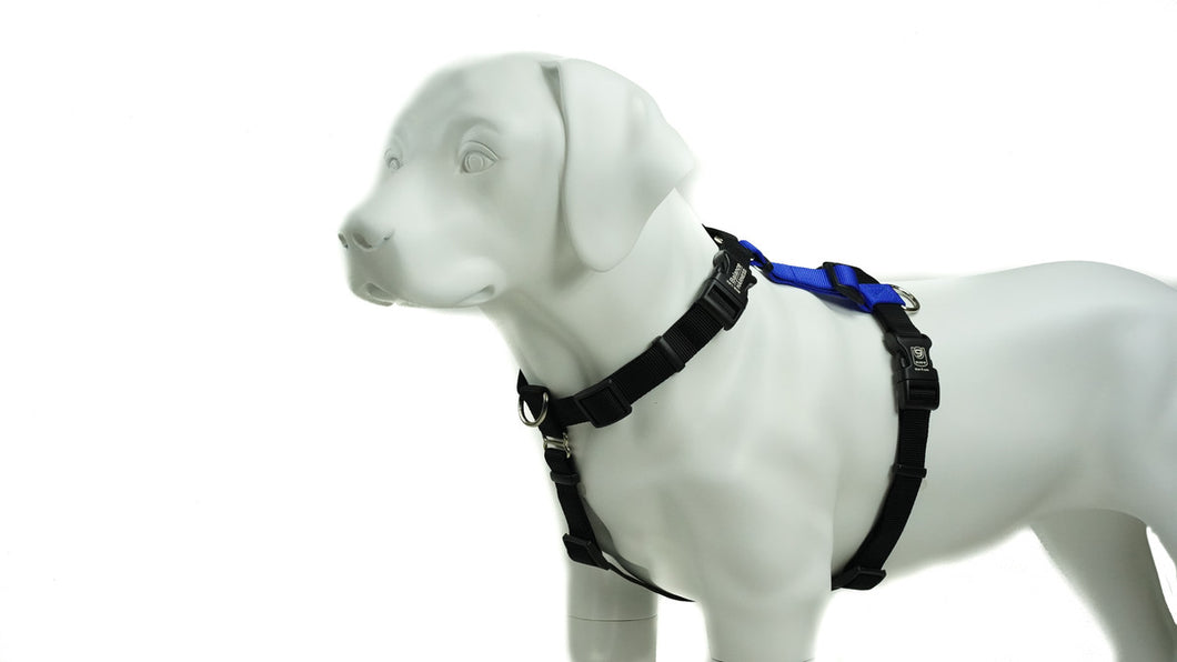 BLUE9 BALANCE HARNESS BUCKLE NECK BLUE SMALL
