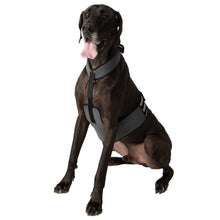 Load image into Gallery viewer, COOLER DOG COOLING VEST+COLLAR GREY EXTRA LARGE
