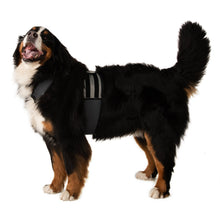 Load image into Gallery viewer, COOLER DOG COOLING VEST+COLLAR GREY EXTRA LARGE
