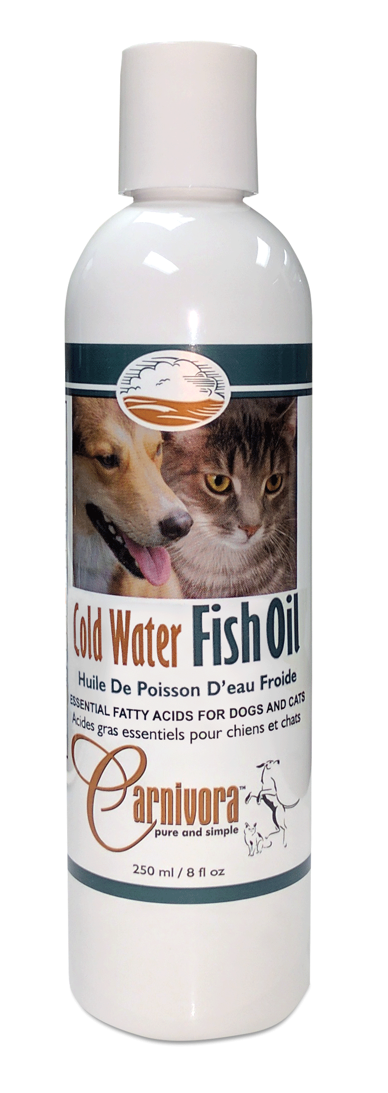 Cold water best sale fish shop