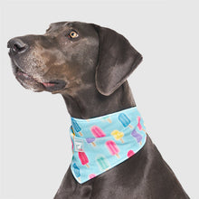 Load image into Gallery viewer, CANADA POOCH CHILL SEEKER BANDANA POPSICLE SMALL
