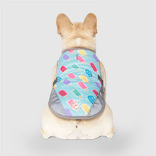 Load image into Gallery viewer, CANADA POOCH CHILL SEEKER VEST POPSICLE SIZE 10
