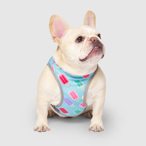 CANADA POOCH CHILL SEEKER VEST POPSICLE SIZE 12