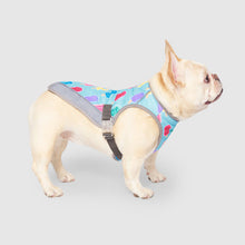 Load image into Gallery viewer, CANADA POOCH CHILL SEEKER VEST POPSICLE SIZE 24
