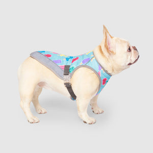 CANADA POOCH CHILL SEEKER VEST POPSICLE SIZE 12