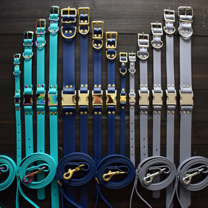 DOGDOG GOOSE BIOTHANE LEASH TEAL/RAINBOW 6'