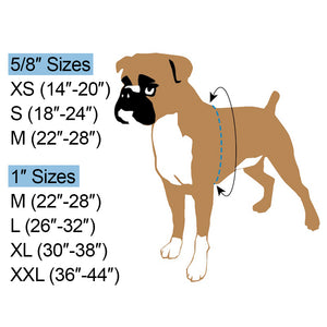 2 HOUNDS DESIGN FREEDOM NO-PULL HARNESS/LEAD 1" XLG
