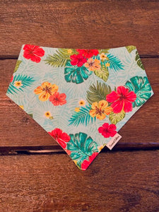 COCONUT COLLARS BANDANA MED