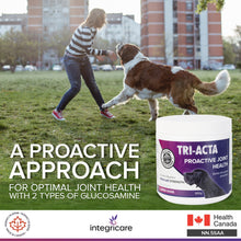 Load image into Gallery viewer, TRI-ACTA DOG/CAT JOINT FORMULA REGULAR STRENGTH 300G
