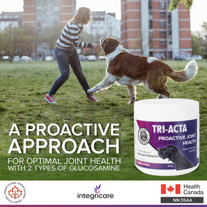 TRI-ACTA DOG/CAT JOINT FORMULA REGULAR STRENGTH 300G