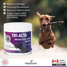Load image into Gallery viewer, TRI-ACTA DOG/CAT JOINT FORMULA REGULAR STRENGTH 300G

